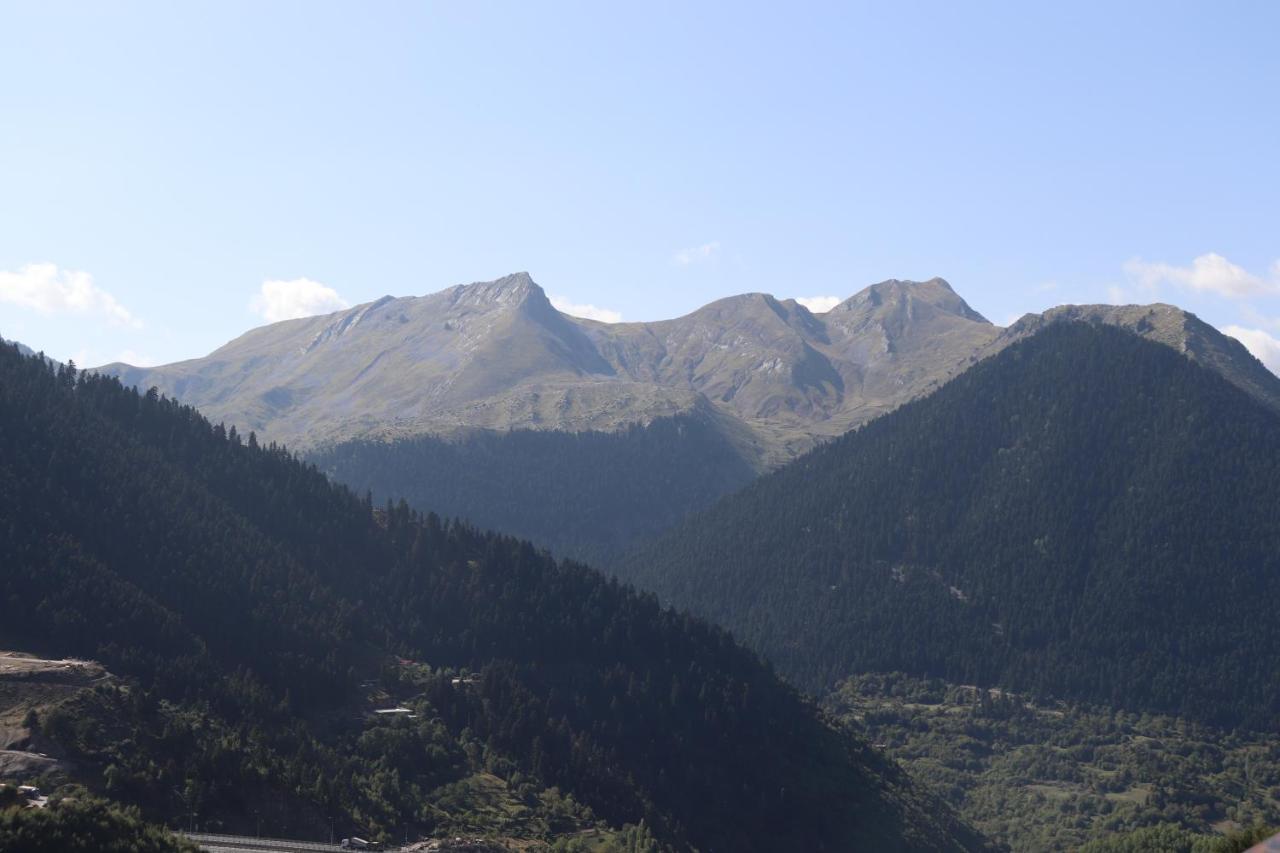 Baou House 1 Apartment Metsovo